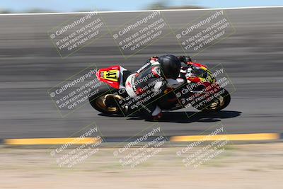 media/Apr-05-2024-Apex Assassins-CVMA Friday Practice (Fri) [[ee2ef04f2b]]/3-Racer 2/Session 3 (Bowl Speed Pans)/